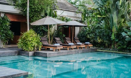 Blue Waters & White Trees 2