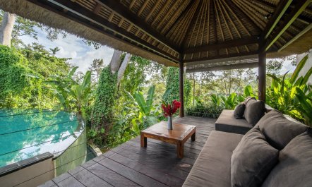 Blue Waters & White Trees 3