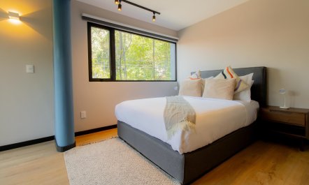 The Charm of Condesa 4