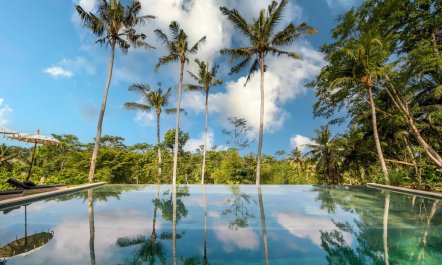 The Vine & The Moon 3