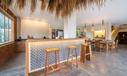 The Vine & The Moon 6