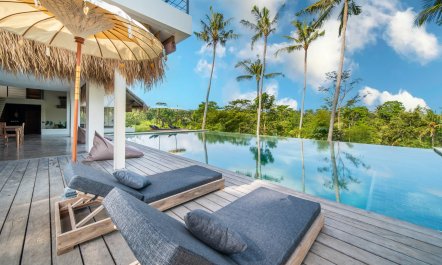 The Vine & The Moon 2