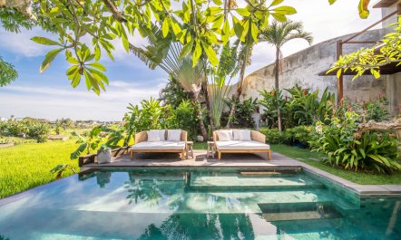 The Garden of the Moon 2