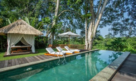 Paradise's Horizon 1