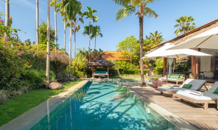 The Desert Feather 2