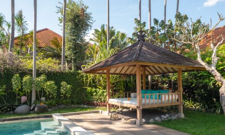 The Desert Feather 4