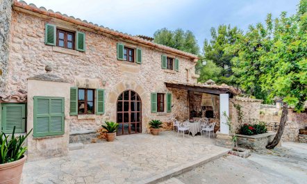 The Olive Oil Mill 2