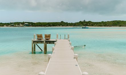 Peace of Paradise