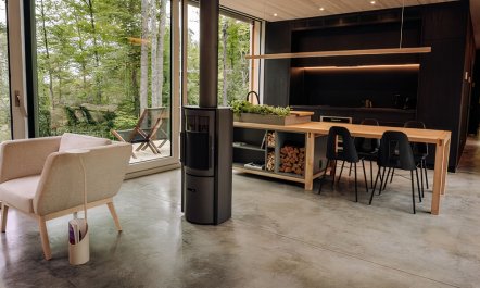 Mountain Modernism 8