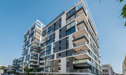 Vineyard of the Yemenites