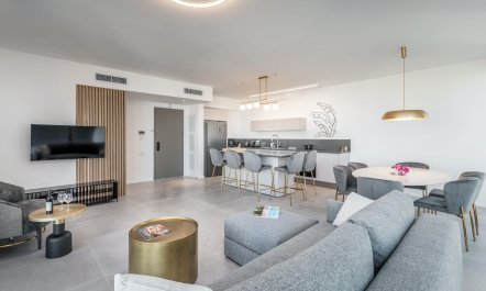 Vineyard of the Yemenites 2