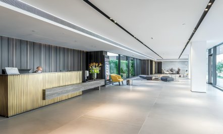 Vineyard of the Yemenites 1