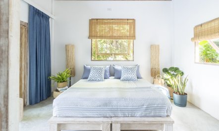 Treasure In The Treetops 9