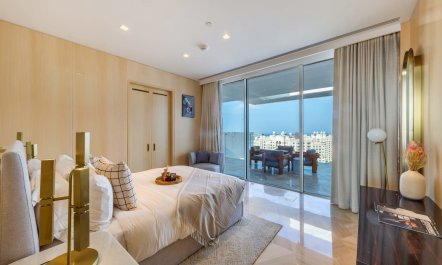 Arc de Palm 8