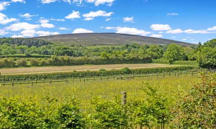 Dunkery View, Wootton Courtenay 7