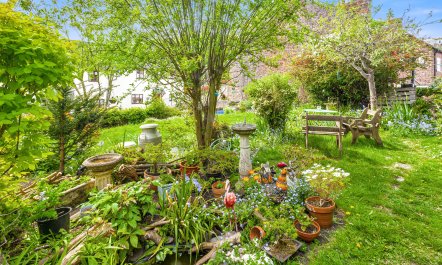 Ruffles Cottage, Dunster 2