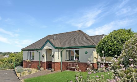 The Pippins, Old Cleeve 2