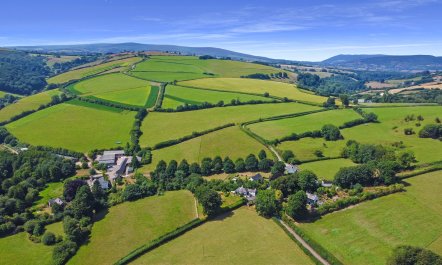 Westcott Cross Cottage, Luxborough 3