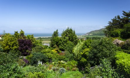 Jasmine Cottage, Porlock 4