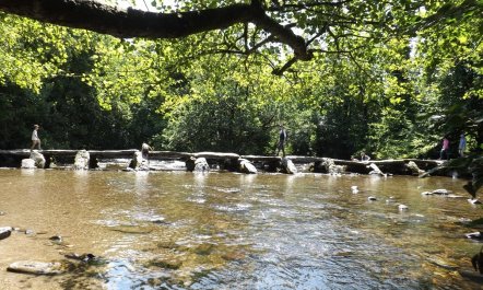 Dairy Cottage, Dulverton 6