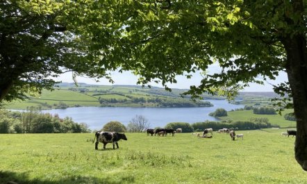 The Pony Stalls, Brompton Regis 8