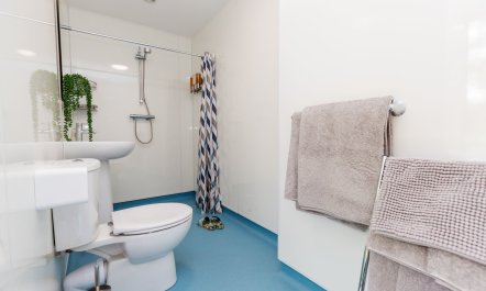 Victoria Hut, Allerford 7