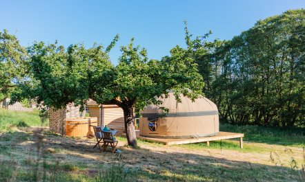 Orchard Yurt, Allerford 2