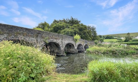 Bridge Cottage, Withypool 8