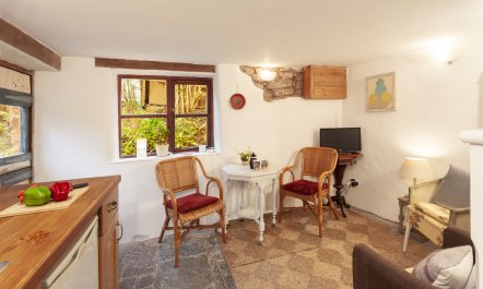 Garden Cottage, Wiveliscombe 8