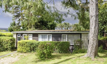Pines, Cleeve Park 5