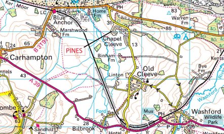 Pines, Cleeve Park 6
