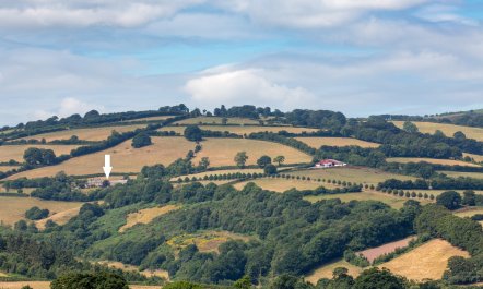 East Harwood Farm Cottage, Timberscombe 6