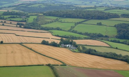 Nuthatch, nr Huntsham 0