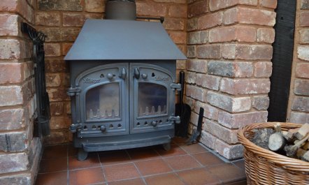 Nuthatch, nr Huntsham 8