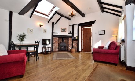 Nuthatch, nr Huntsham 3