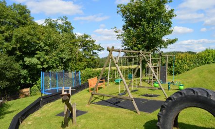 Nuthatch, nr Huntsham 7