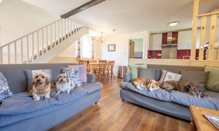 Quarme Cottage, Wheddon Cross 5