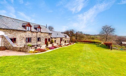 Kiri and Norton - joint booking