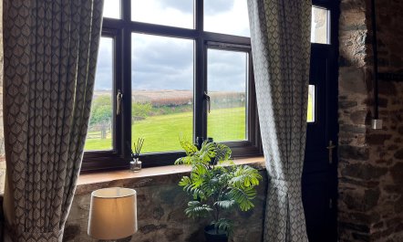 Kiri and Norton - joint booking 7