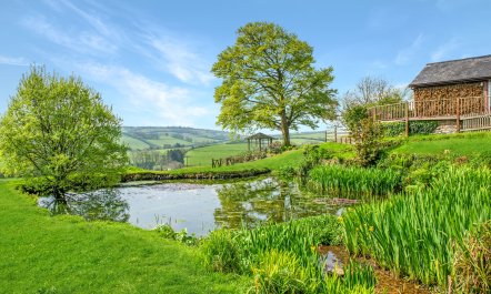 Stable Cottage, Wheddon Cross 1