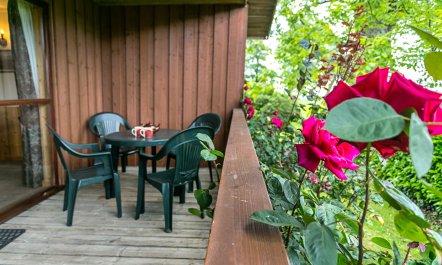 Pine Tree Lodge, Woodcombe 3