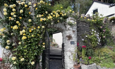 The Old Kitchen, Exford