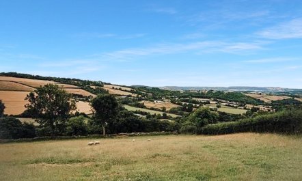 Ash Hut, Wiveliscombe 2