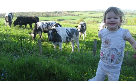 The Long Barn, nr Huntsham 7