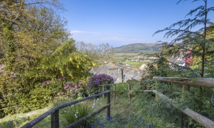 Little Hanger, Porlock 3