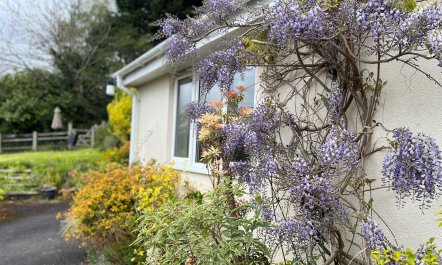 Exmoor View, Wootton Courtenay 5