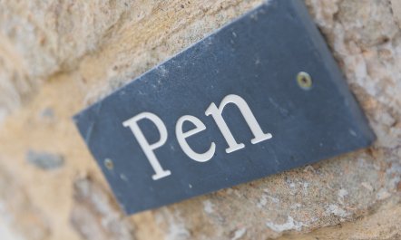 Carines Barns - Pen 2