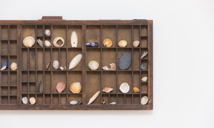 Carines Barns - Pen 6