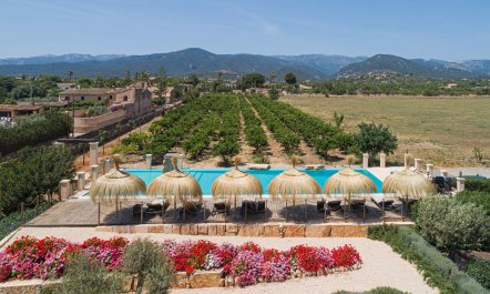 Mediterranean Splendour 1