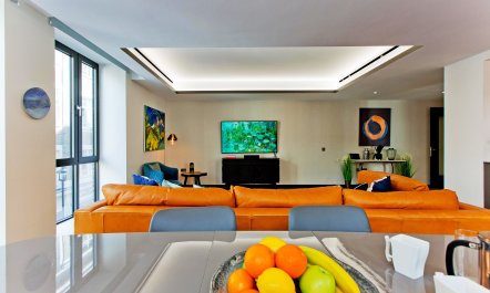 Soho Sunflower 7